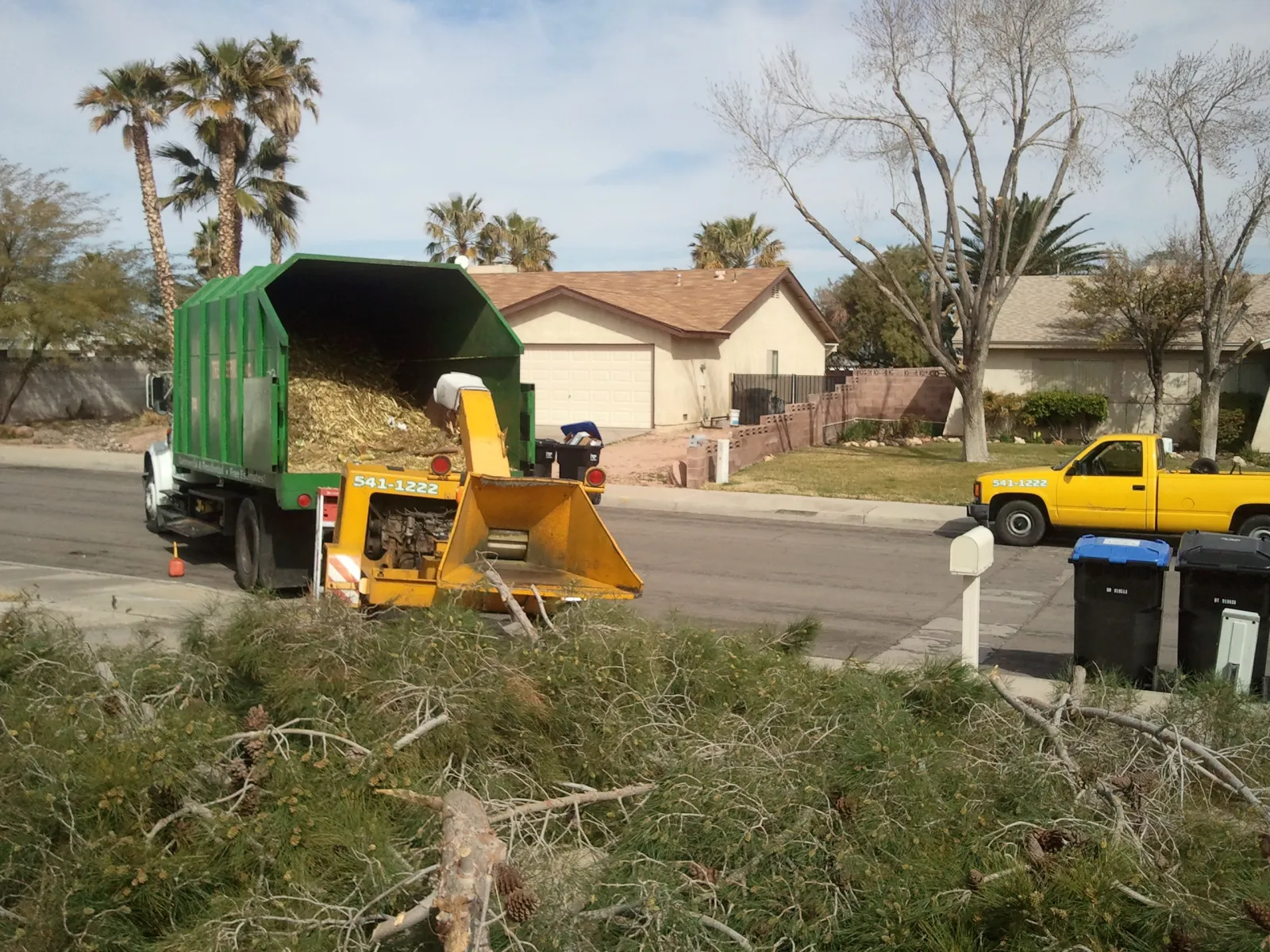 Tree branches being fed into a wood chipper on a Las Vegas street